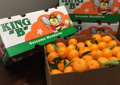 orange camping tent