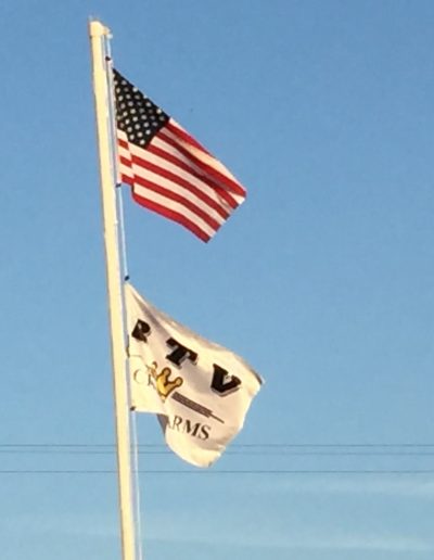 flags